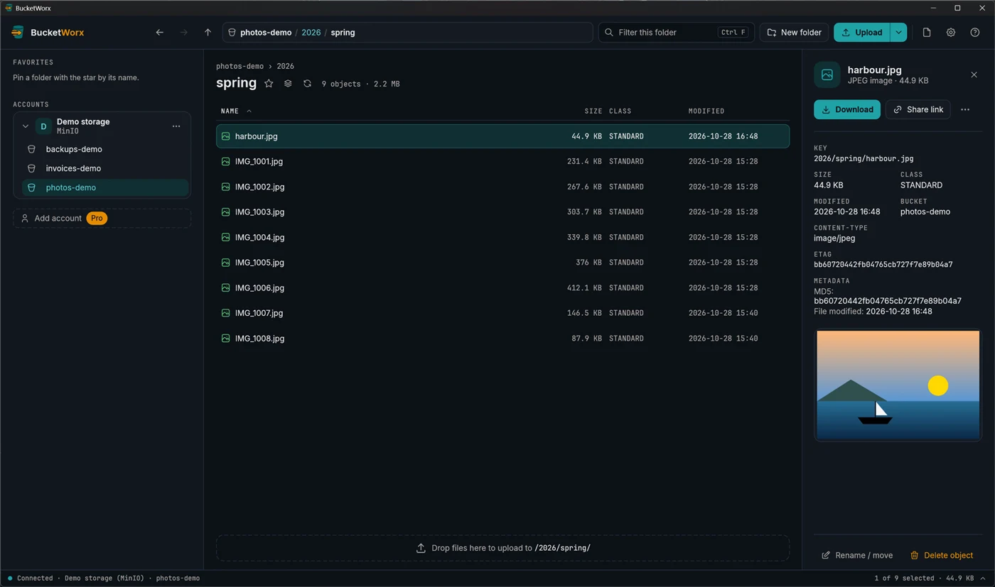 A picture file selected, with its picture preview and its metadata (MD5 and file modified time) in the details panel.