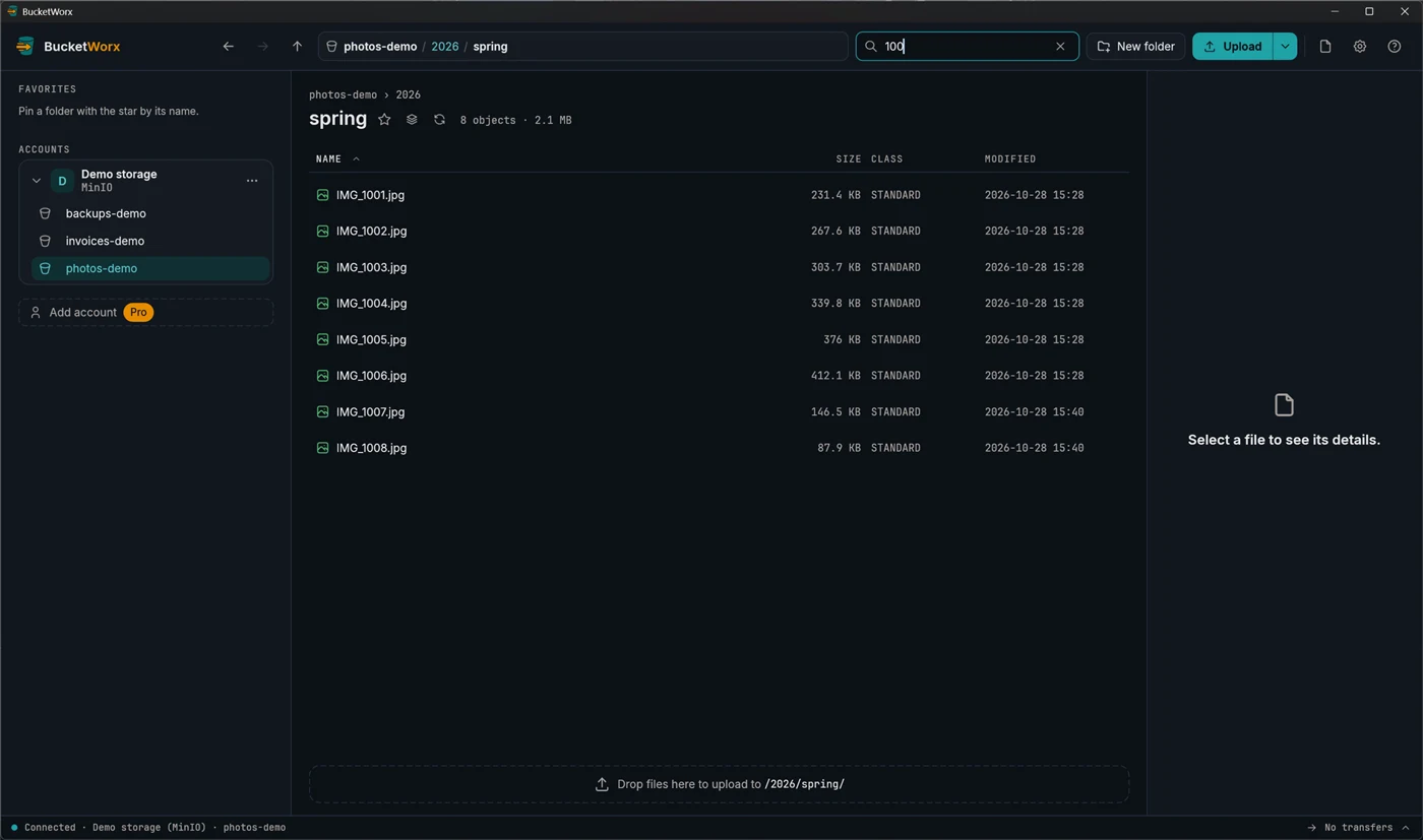 The folder list narrowed by typing 100 in the Filter this folder box, showing eight matching files.