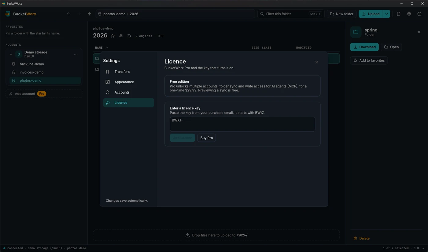 Settings, Licence page on the free edition, with a box to paste a licence key that starts with BWX1 and a Buy Pro button.